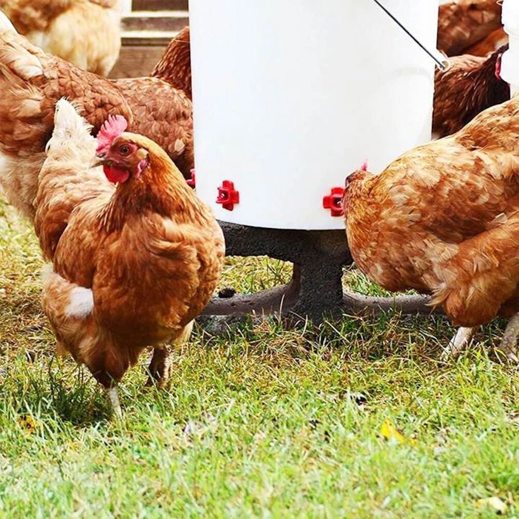 Automatic Chicken Feeding Water Dispenser Chicken Water Dispenser Mouth Horizontal Side Mount Chicken Waterer