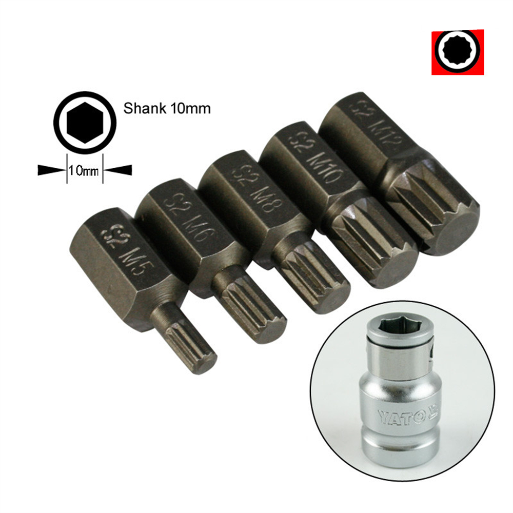 6 in 1 Torx Screwdriver Bits 12 Point Spline 10mm ... – Grandado