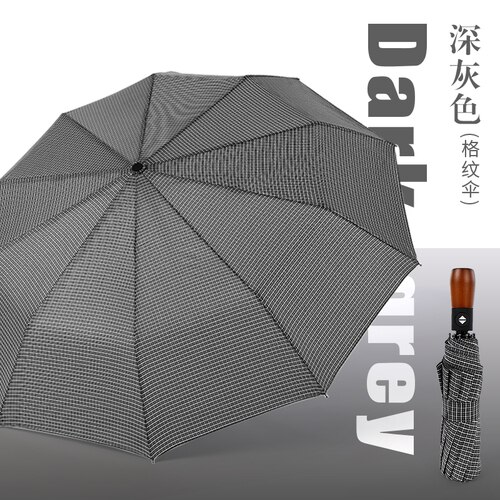 Academy Winddicht Mannen Draagbare Paraplu Reizen Outdoor Luxe Automatische Parasol Paraplu Regen Vrouwen Paraguas Ambrella BW50YS: style1