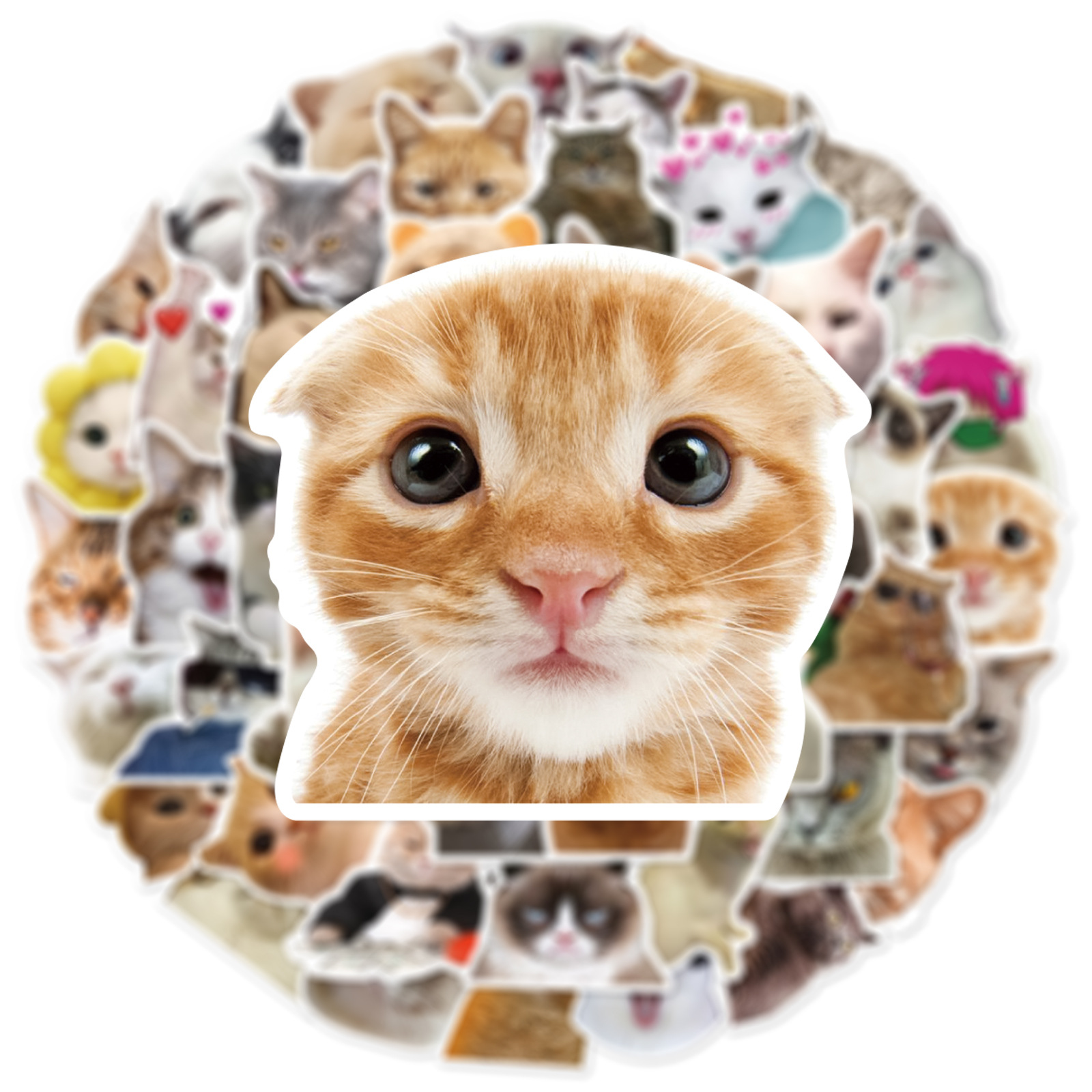 10/30/50 PIÈCES À La Mignon Dessin Animé Réaliste Chat Graffiti Tasse Décoration Intérieure BRICOLAGE Étanche PVC Autocollant PersonaliToys