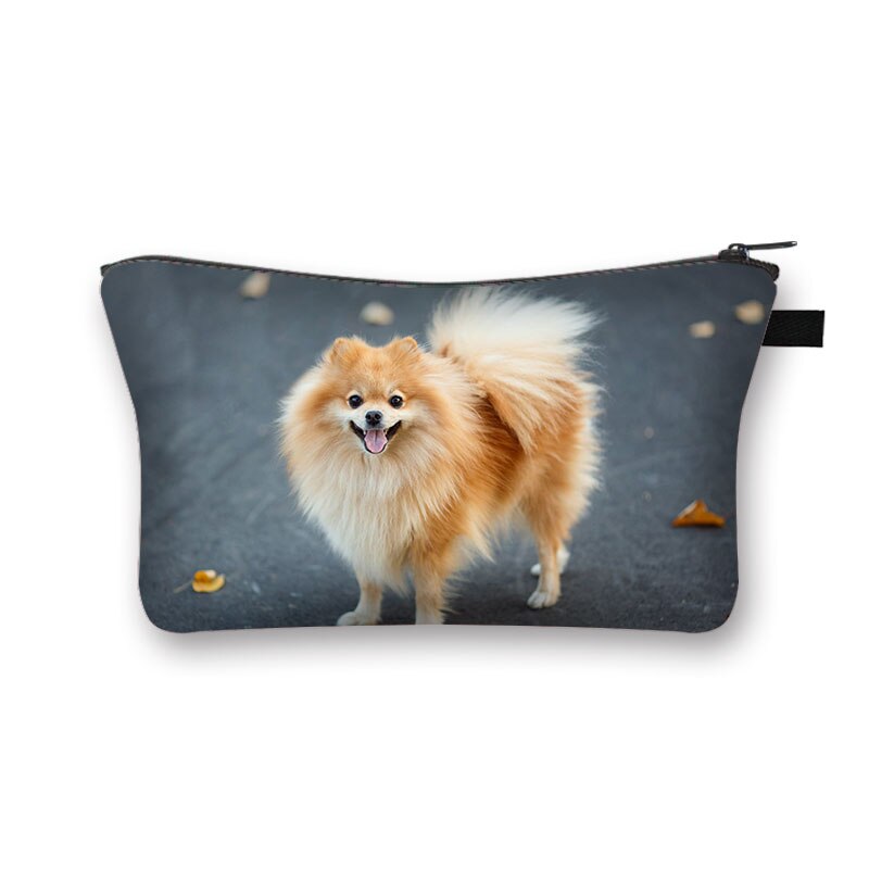 Piękny pies Chihuahua/Pomeranian pies drukowanie kosmetyczka kobiety torebki na makijaż uroczy pies kosmetyczka przenośne szminki torby prezent: shzbbomeic03cw