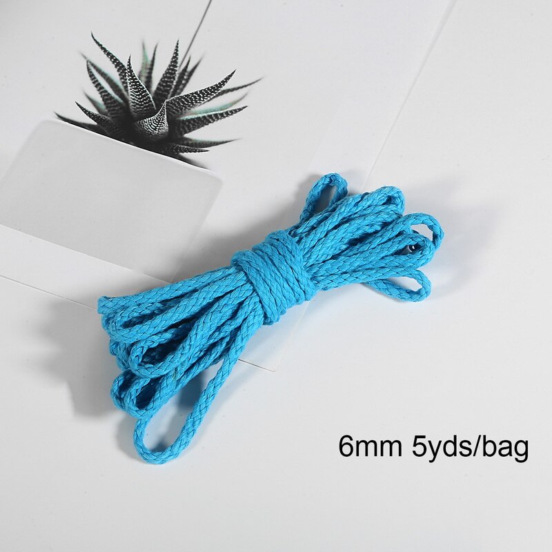 Cordon Parachute de 5 mètres et 6mm | Corde de cour Lan de Type Mil de Type un brin d'escalade, équipement de survie en Camping, matériel de bricolage: Sea Blue