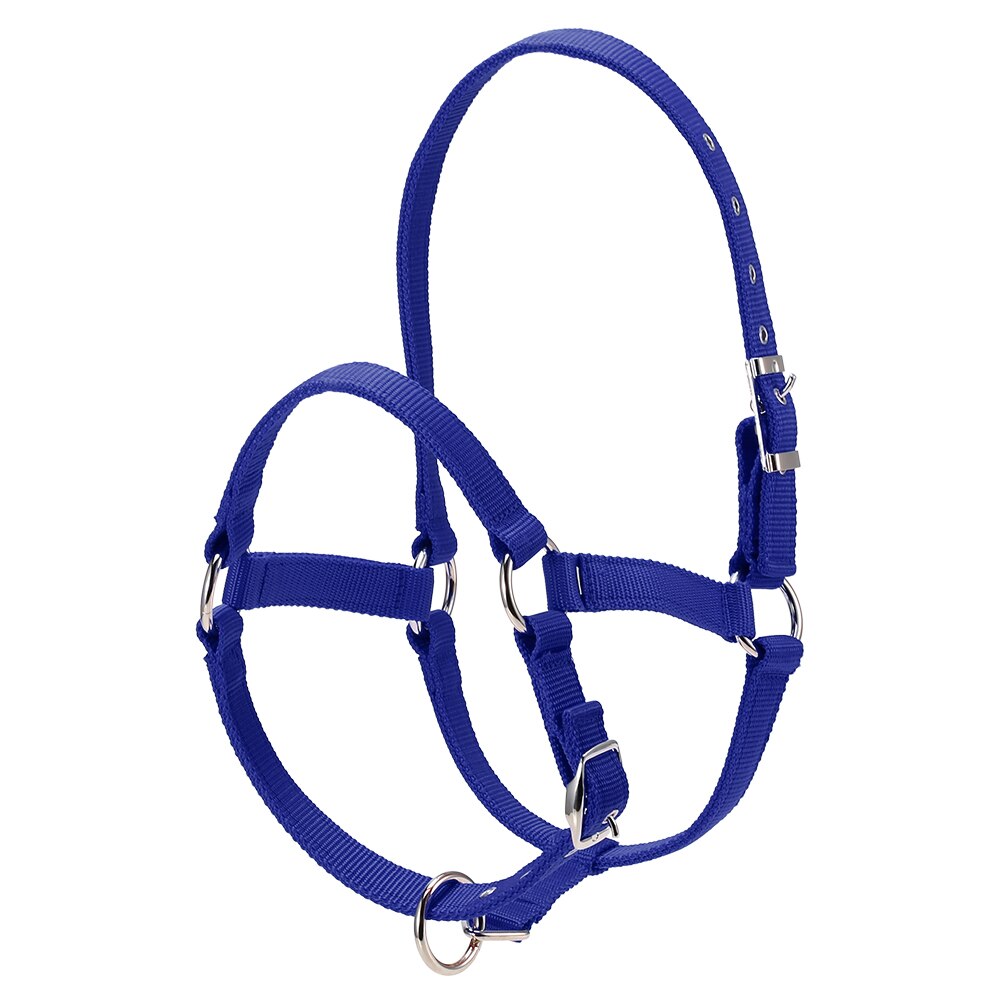 Collar de cabeza de caballo grueso de 6MM, brida ajustable de seguridad, accesorios de equipo de equitación, cuerda de caballo de plomo: Blue M