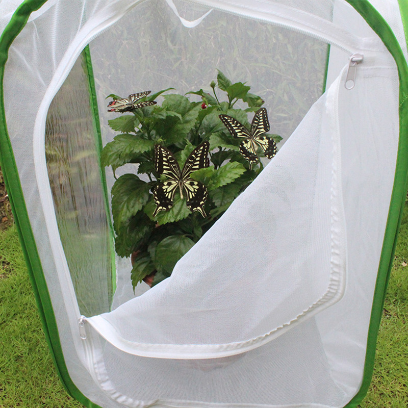 Insect Butterfly Kit Original Habitat Life Science Education Butterfly Kit Foldable Insect Cage Butterfly Garden L9