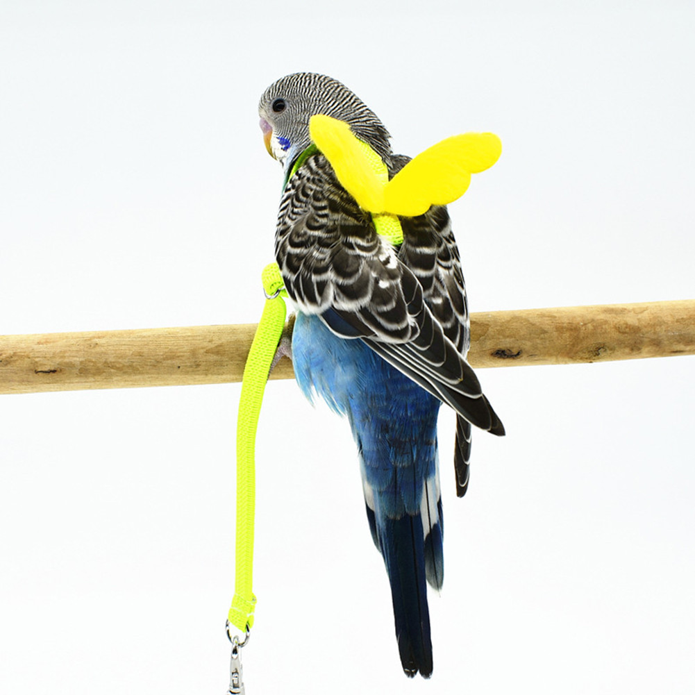 Pet Parrot Traction Strap Bird Harness Leash Flying Rope Straps Outdoor Training Rope For Budgerigar Lovebird Cockatiel Lizard