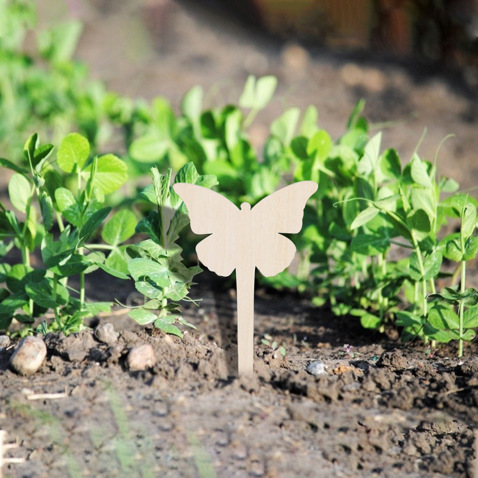 Letrero de madera para plantas, etiqueta decorativa para jardín de hadas, puede escribir en maceta, 10 piezas,