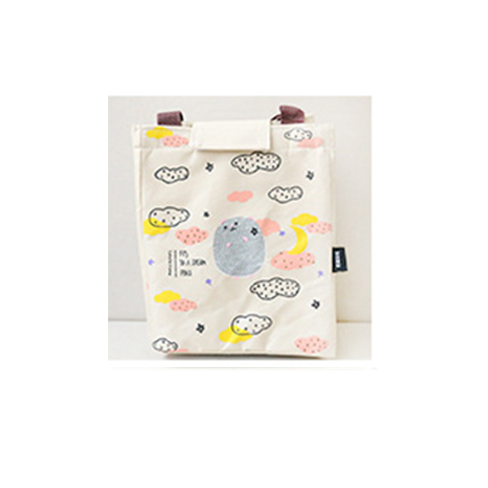 Waterdichte Lunch Tas voor Vrouwen kinderen Mannen Cooler Lunchbox Tas Tote canvas lunch tas Isolatie Pakket Draagbare: Sky Blue