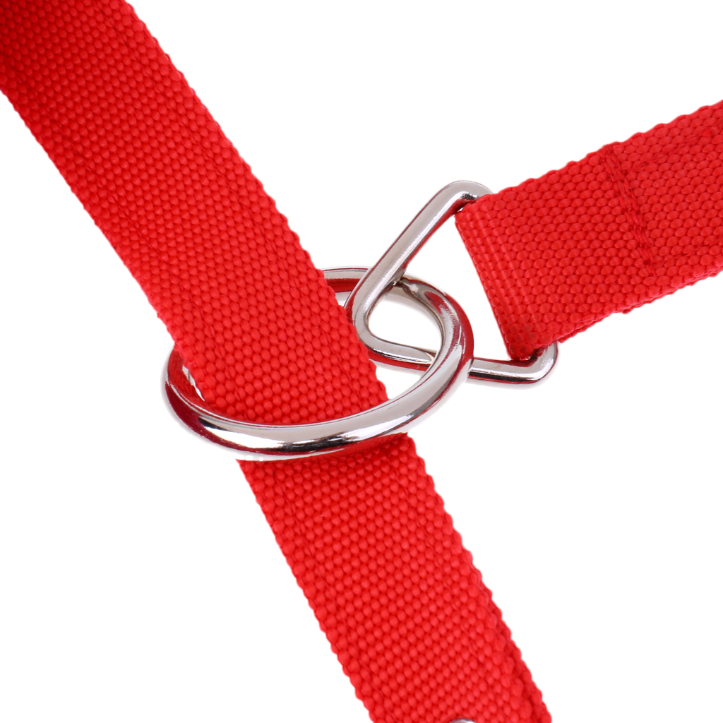 Soft Padded Adjustable Horse Head Collar Halter Middle Size Fits for 1.3-1.5m Height Horse and 2.5m Braided Horse Rope