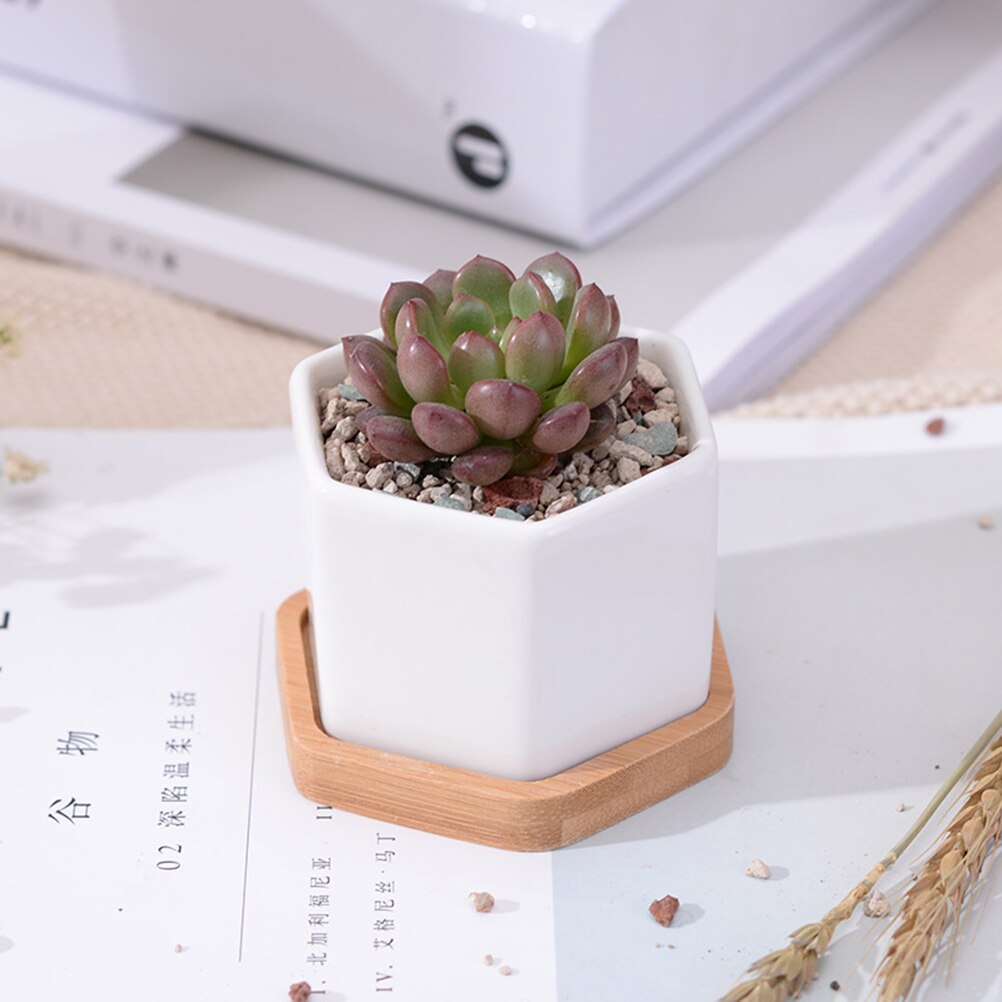 3 sets van Kleine Witte Keramische Zeshoekige Succulent Containers Plant Pot Cactus Planter Pot met Bamboe Lade