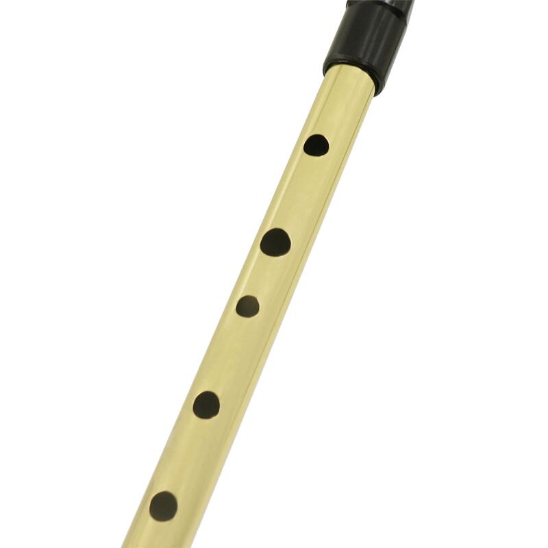Irsk fløjte irland fløjte fløjte tin fløjte key of d øre fløjte 6 huller fløjte chanter mini lomme musikinstrument guld