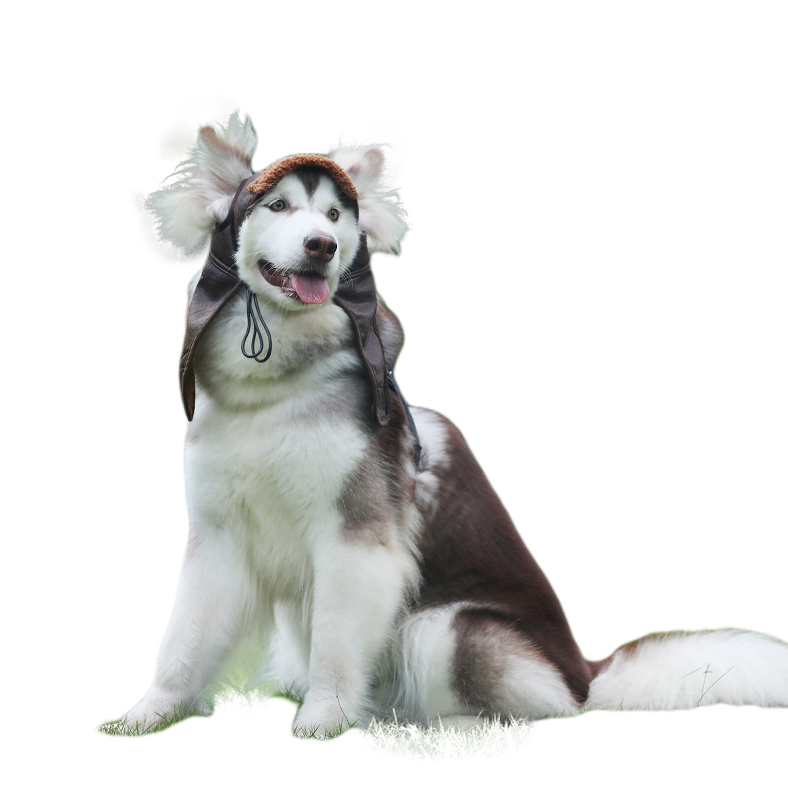 Adjustable Fleece Dog Cap Pilot Aviator Hat with Spring Fixing Buckle Leather Pet Dog Lined Winter Warm Costume Funny Cosplay