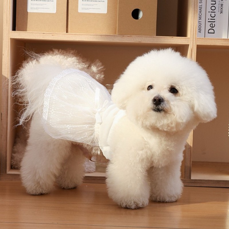 Hond Prinses Jurk Hond Kleding Voor Kleine Honden Puppy Zomerkleding Kant Roze Rose Hond Trouwjurk Chihuahua Pug Hond Rok: XL / YELLOW