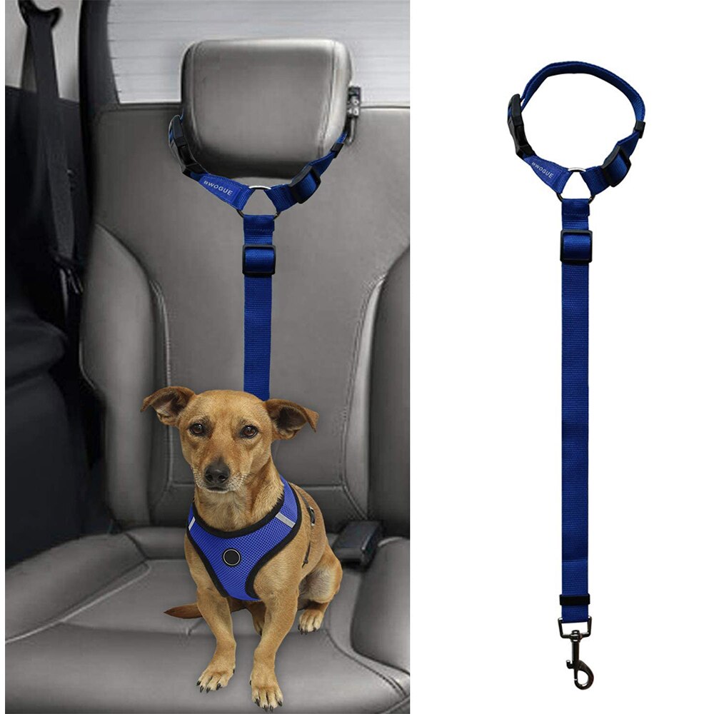 Universel praktisk hundekat kæledyrs sikkerhed justerbar bilsele selesnor bånd rejse klipsrem bly kæledyrs sikkerhedssele: Blå