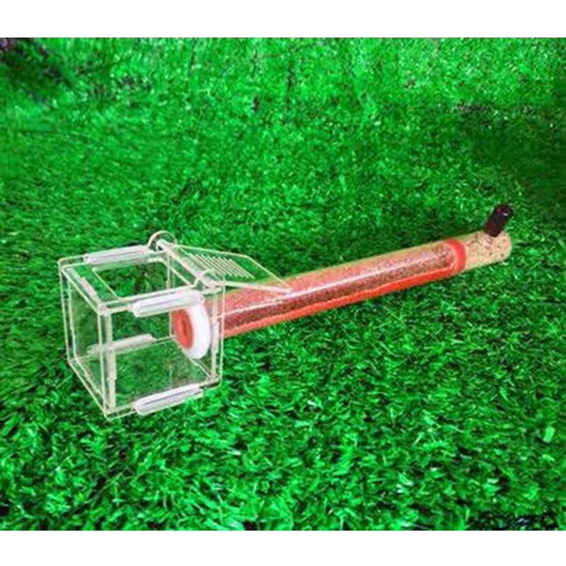 Enkele Reageerbuis Nest Acryl Ant Nest Slub Beton Ant Farm Achter Groep Teelt Gebruik Test Buizen Met Ondersteuning: T004 / Diameter 18mm