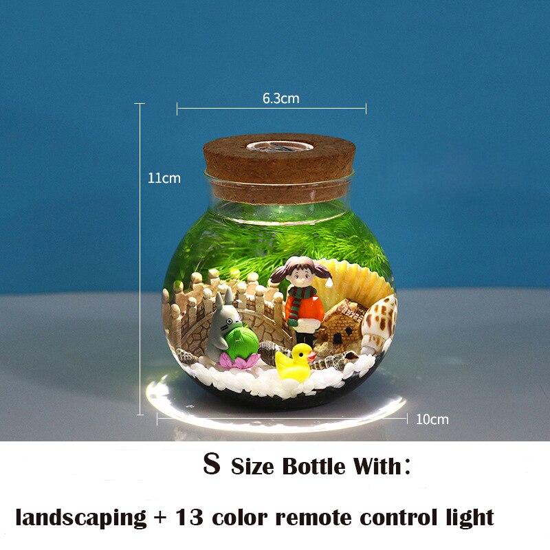 Botella ecológica portátil para acuario, Cubo de Micro paisaje, pecera de escritorio para oficina, vidrio ecológico: S With Parts