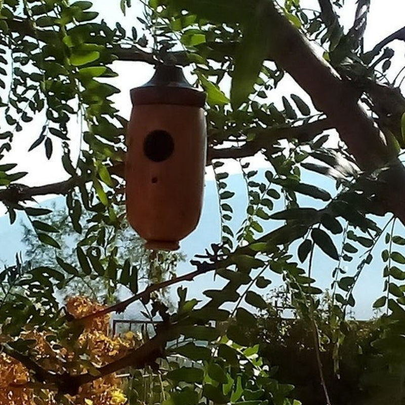Mode Buiten Houten Hummingbird Huis Opknoping Swing Hummingbird Voor Winterkoninkje Swallow Sparrow Huizen Hummingbird