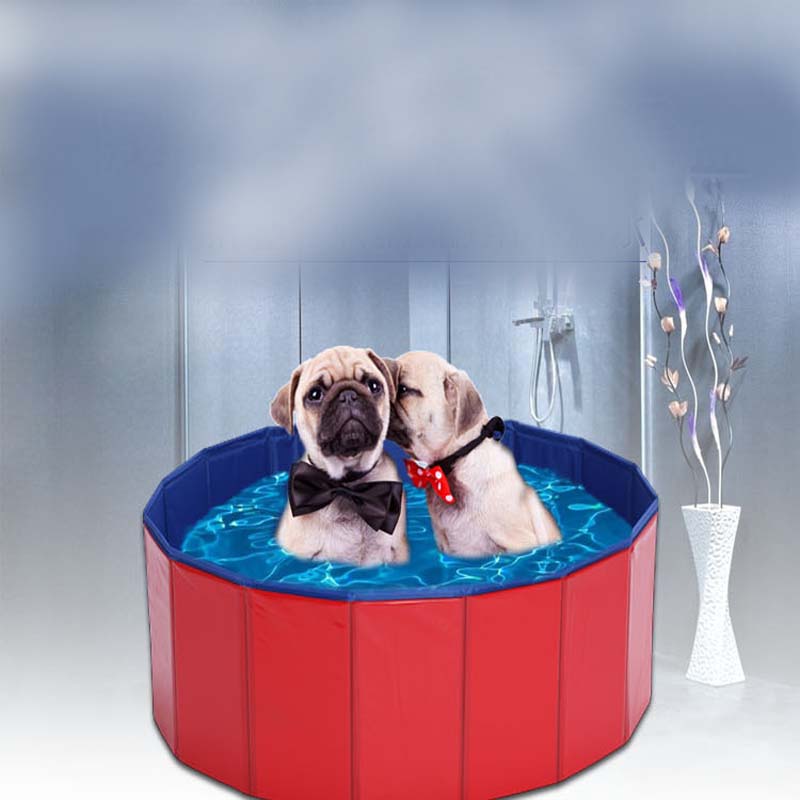 Opvouwbare Huisdieren Baden Tubs Zwembad Draagbare Katten Hond Bad Spelen Mand