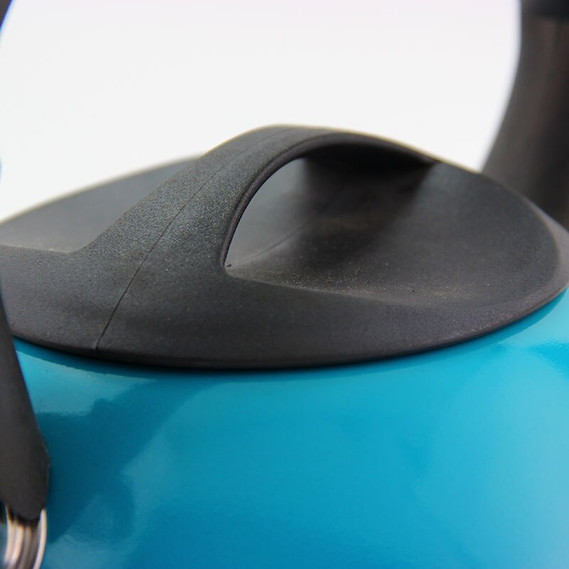 Emerald Green Gradient High Temperature Paint Stainless Steel Kettle 3.0l