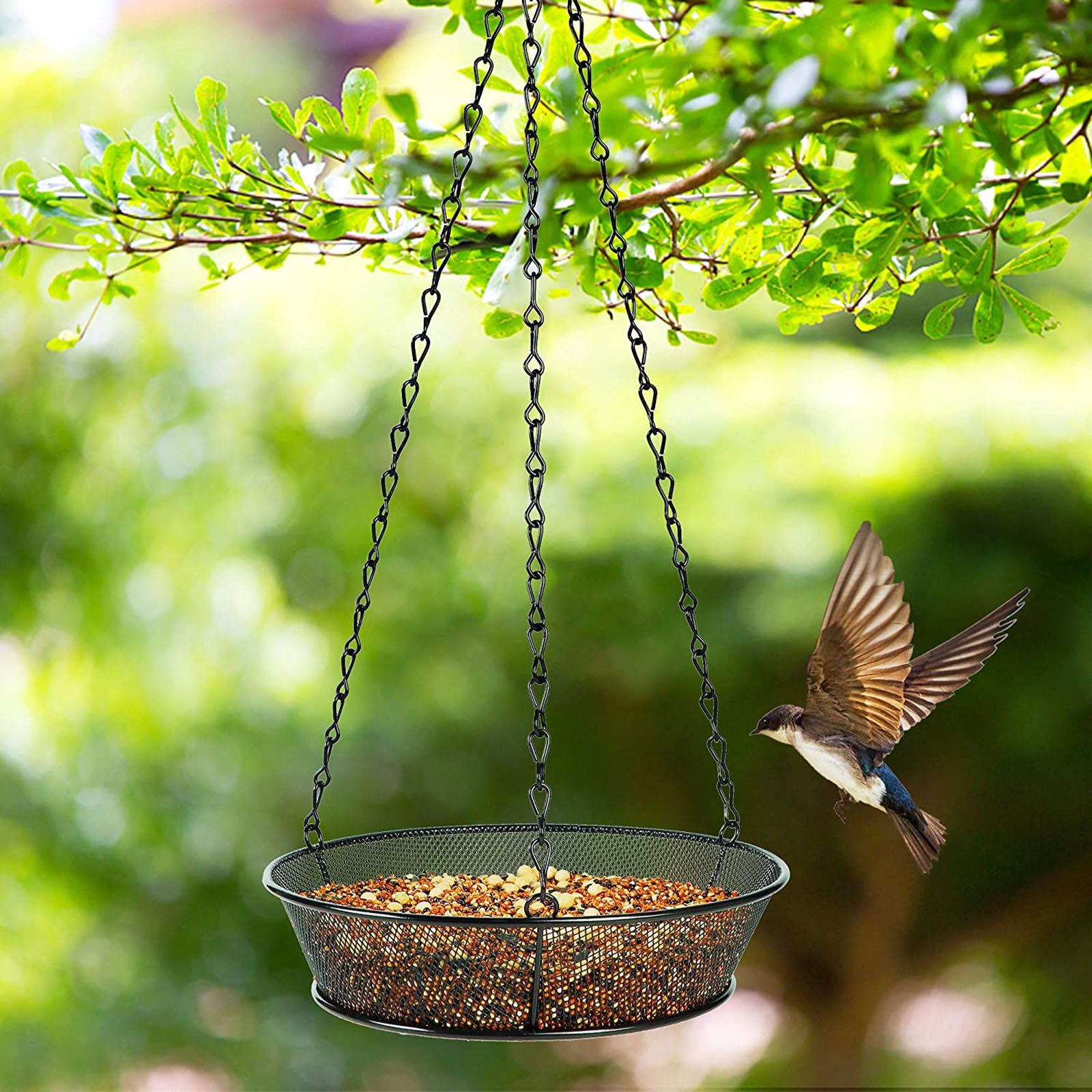 Clear Bird Feeders Glass Window Viewing Bird Feed Hotel Detachable Table Seed Peanut Hanging Suction Courtyard Feeder Tools