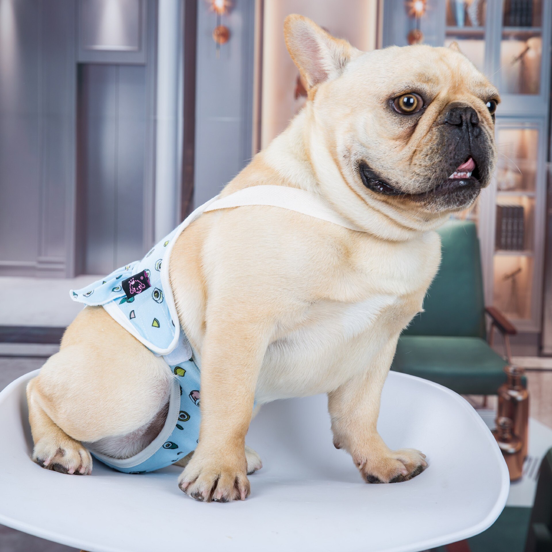 Pantaloncini fisiologici per cani femminili pannolini per cani in cotone con stampa cartone animato per bulldog francese intimo mutandine sanitarie pantaloncini morbidi