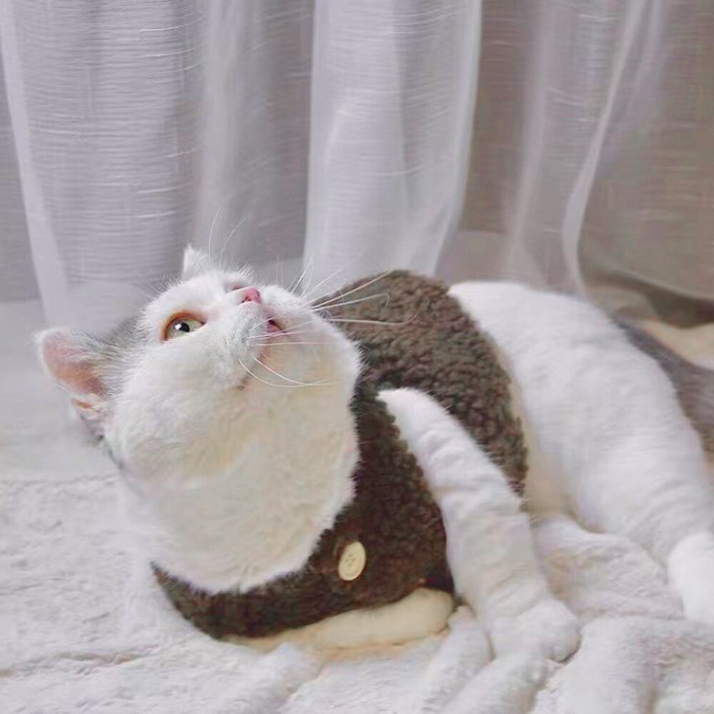 Gilet en peluche pour chat, vêtements à la , résistant au froid, Teddy, épaississement de la chaleur, en cachemire, pour animaux de compagnie, automne et hiver