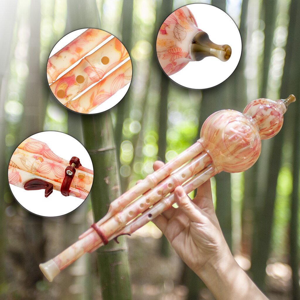 Lommi Hulusi Chinese Instrument Octaven Hulusi Fluit Houtblazers Yunnan Fluit Kalebas Bamboe Hulusi Halisi Cucurbit Fluit Met Case