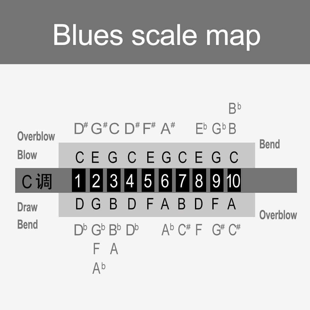 Ammoon 10 Gaten 20 Tones Blues Harmonica Mondharmonica Sleutel van C met Storage Case voor Kinderen Beginners Studenten Musical