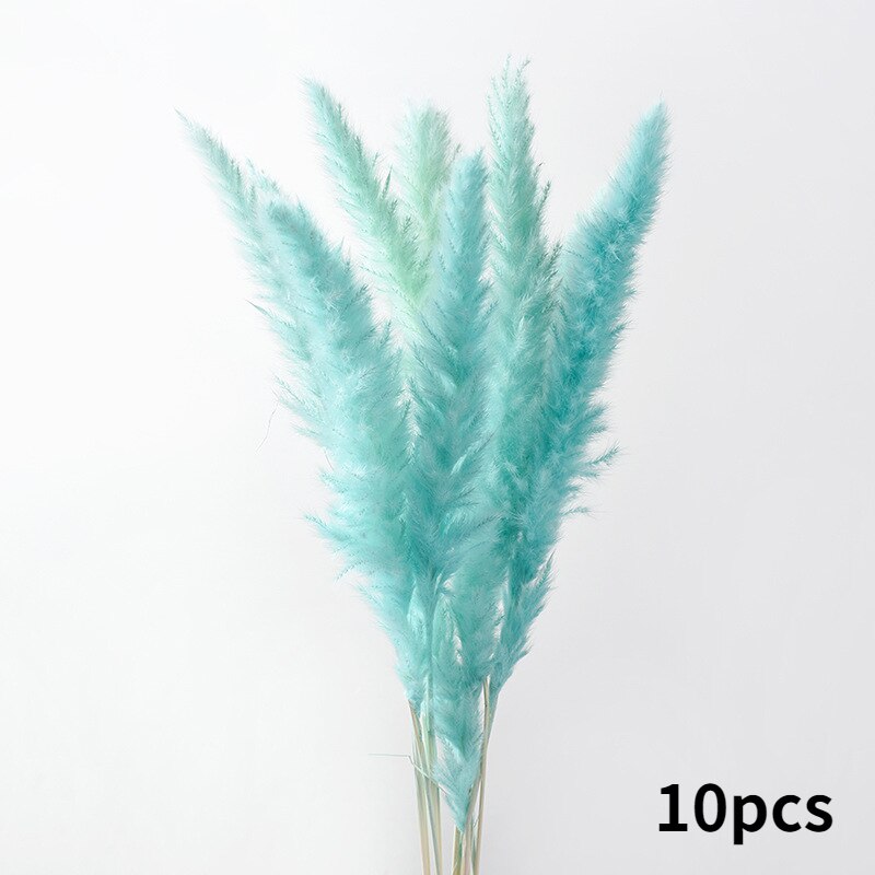 10Pcs Dry Dried Small Pampas Grass Flowers Pantas Artificiales Para Decoracion Real Plants Home Decor Wedding Decoration: blue