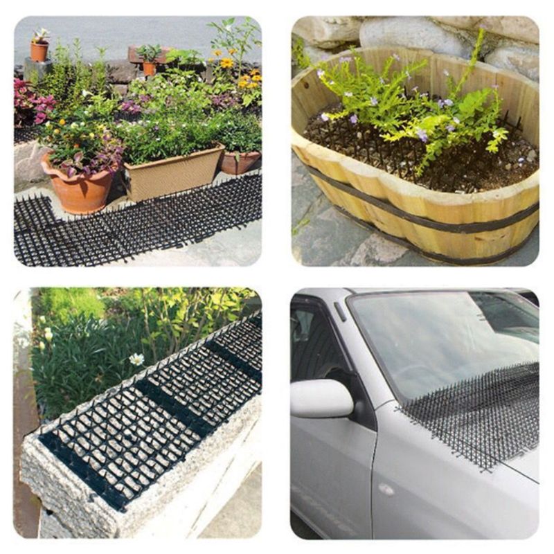 Anti-Kat Doorn Mat Om Stepping Tuin Balkon Kat Beperkte Gebied Pad Drive Katten Artefact Kat Levert 3 maten C42