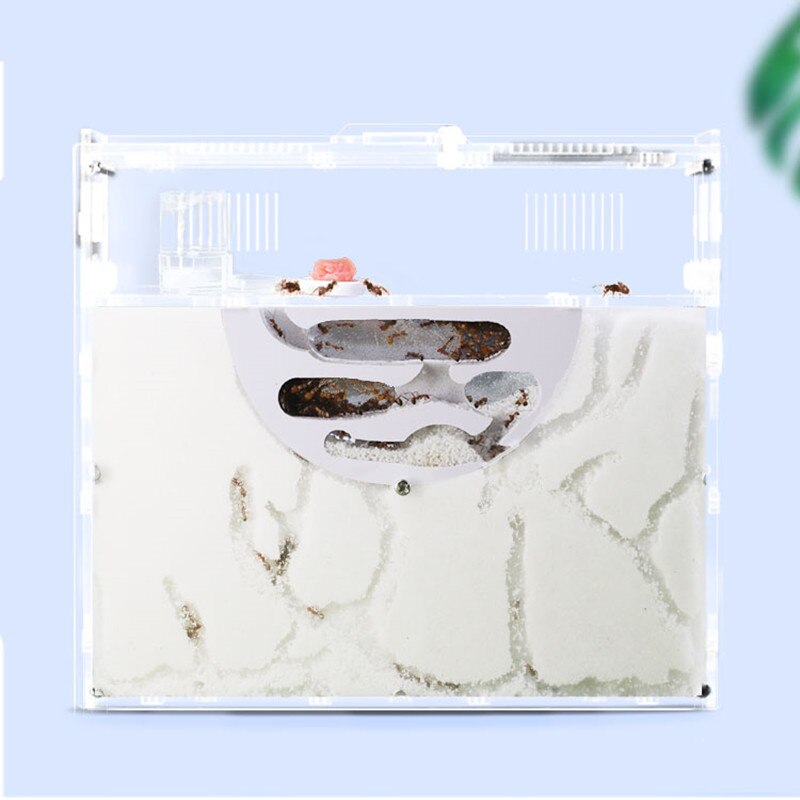 Transparante Mier Huis Kasteel, Een Nest Voor Huisdier Mieren Mimic Ecosysteem, klei Zand Mieren Boerderij Doolhof Insect Nest Doos