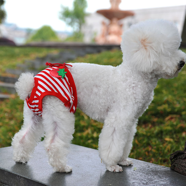 1Pcs Dog Physiological Pants Cute Print Diaper Sanitary Pants Washable Dog Shorts For Small Medium Dogs Underwear Briefs
