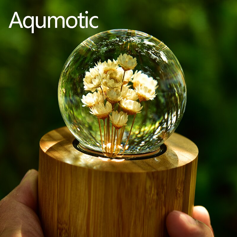 Aqumotic-caja de música de margaritas, bola de cristal, flores secas, cajas musicales de bambú de cristal para amantes, para niña, 1 ud.