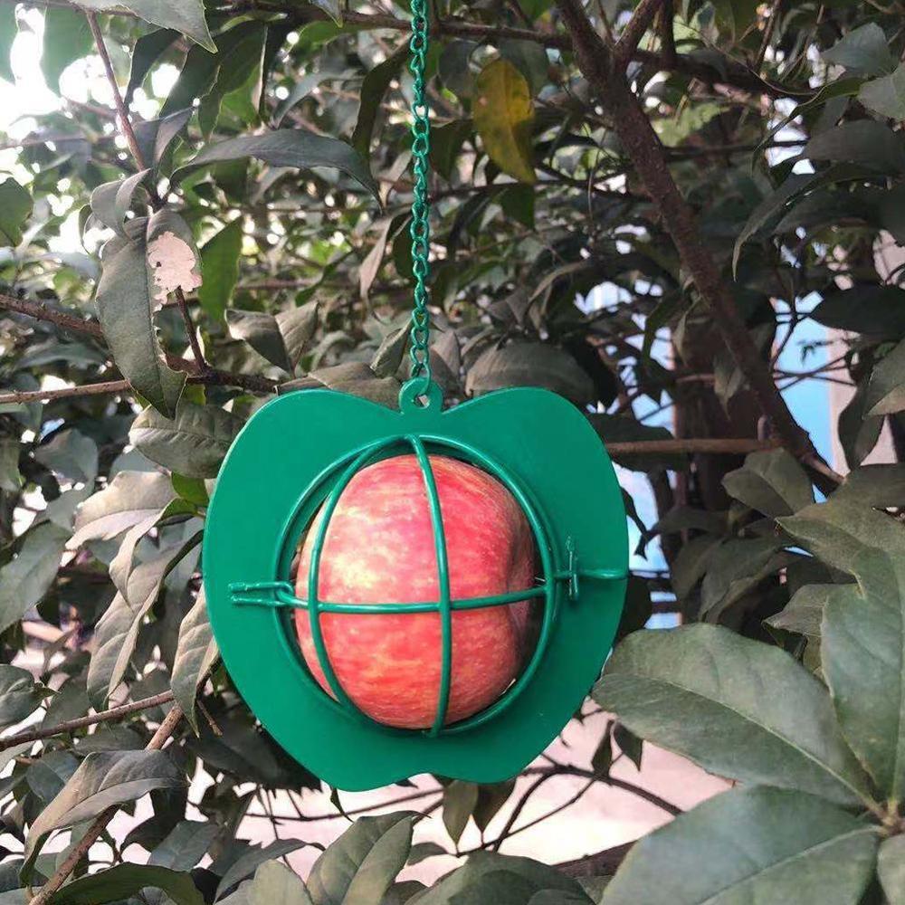 Bird Feeders Hanging Metal Iron Apple Bird Feeder Cage Ball Seed Feeder