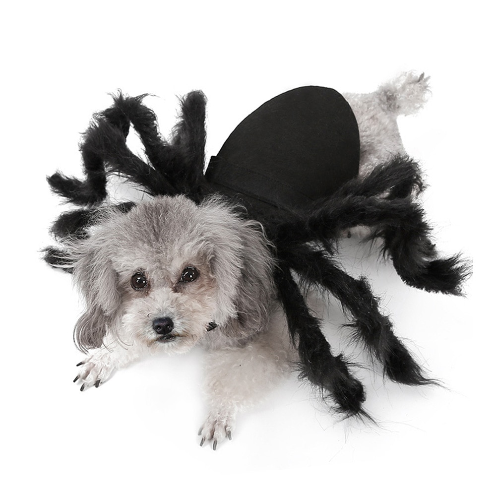 Sjove hundetøj kravlende edderkop kostume halloween cosplay dragt til små hunde hvalpekatte fest tøj kæledyr tøj s / m