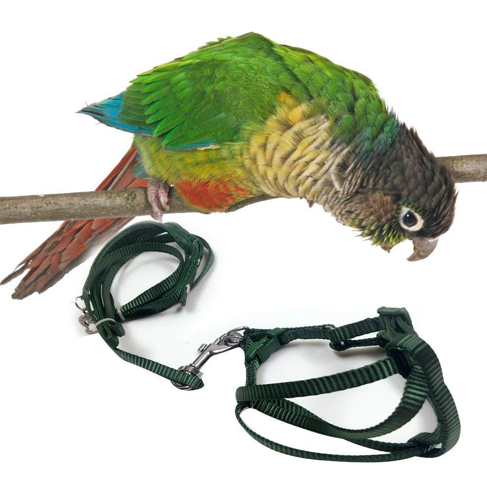 Metermall pet papegøje trækkraft rem udendørs reb pet snor justerbar fuglesele til cockatiel tilfældig farve