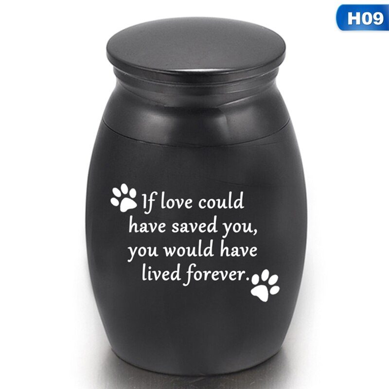 Herdenkingsmunt Huisdier Haar Blijft Asgrauw Urn Bus Van Slapende Hond As Funeral Sieraden Parfumflesje Decoratie: H09