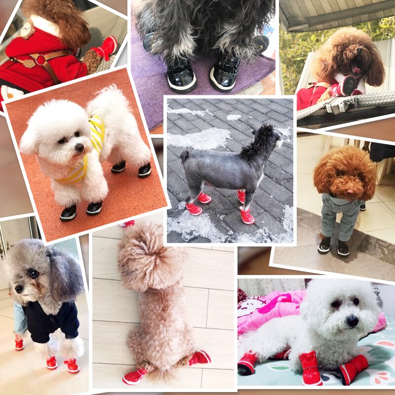 Bottes de neige imperméables pour chiens | Bottes d'hiver pour petits chiens teckel Pitbull Terrier chat d'animaux, directe magasin , Lot 4 de chaussures d'animaux