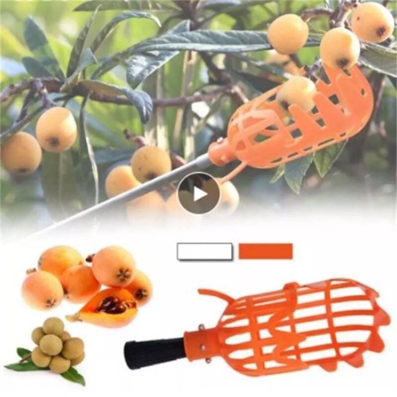 Cueilleur de Fruits onvenent, outil de jardinage, collecteur de Fruits, outil de tête, serre, outils de jardinage, 1 pièce