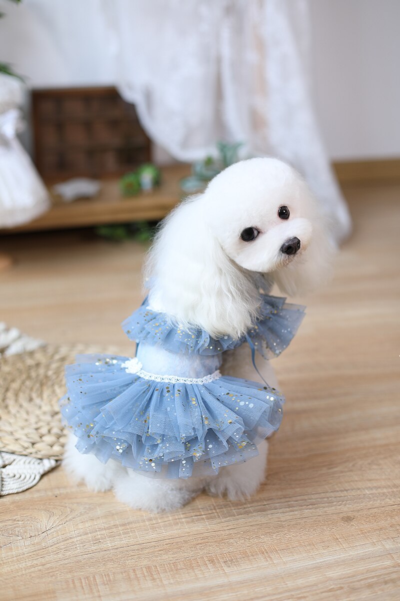 Ropa hecha a mano para perro, vestido azul de tul con puntos dorados, falda de encaje Sexy, tutú para gatos domésticos, traje de caniche maltés Yorkie,