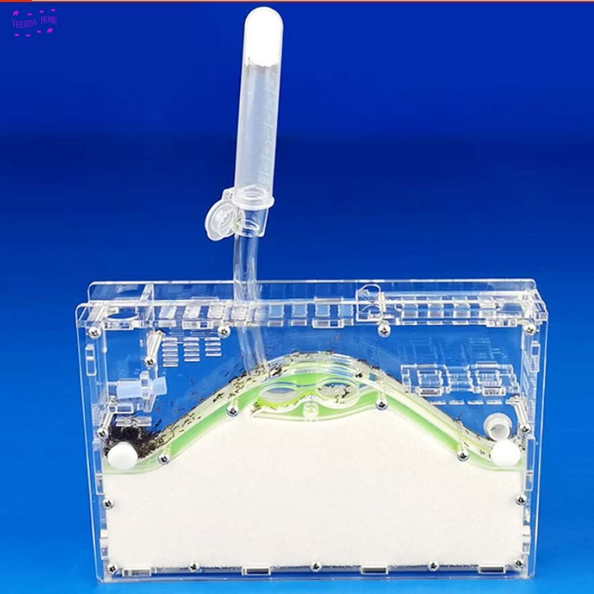 19.6*13.3*2.9cm DIY moisture with feeding area ant nest ,ant farm acryl, insect ant nests villa pet mania for house ants