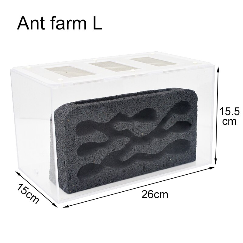 Fourmilière en acrylique pour fourmis, nid en béton respirant et hydratant avec zone d'alimentation, fourmilière, atelier pour animaux de compagnie, 26x15x15.5cm