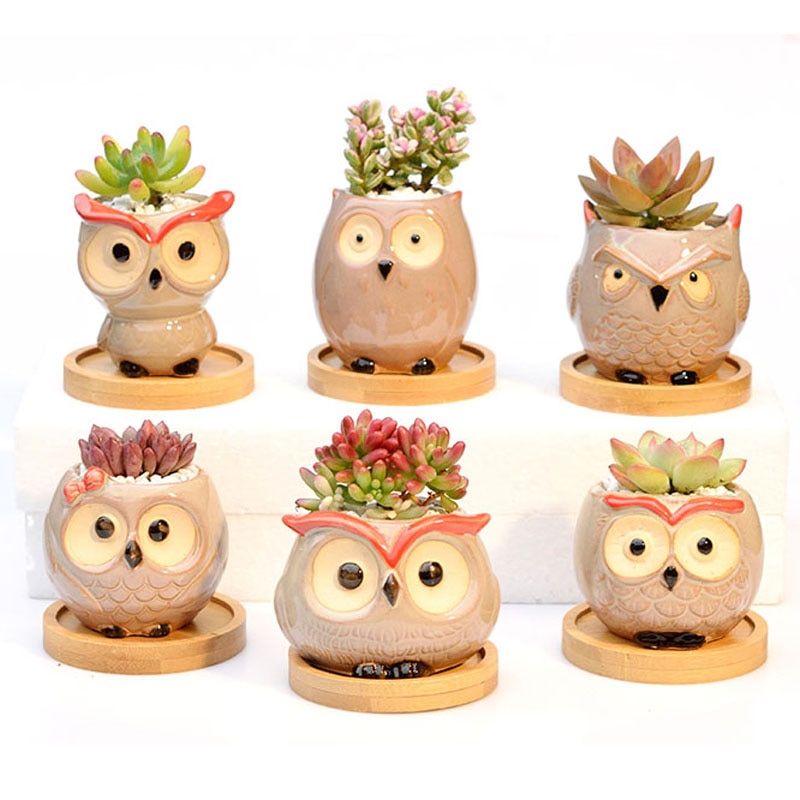 maison jardin décoration en céramique fleur Pos mignon hibou Miniature modèle Succulent Pot de fleur planteur décorations de bureau