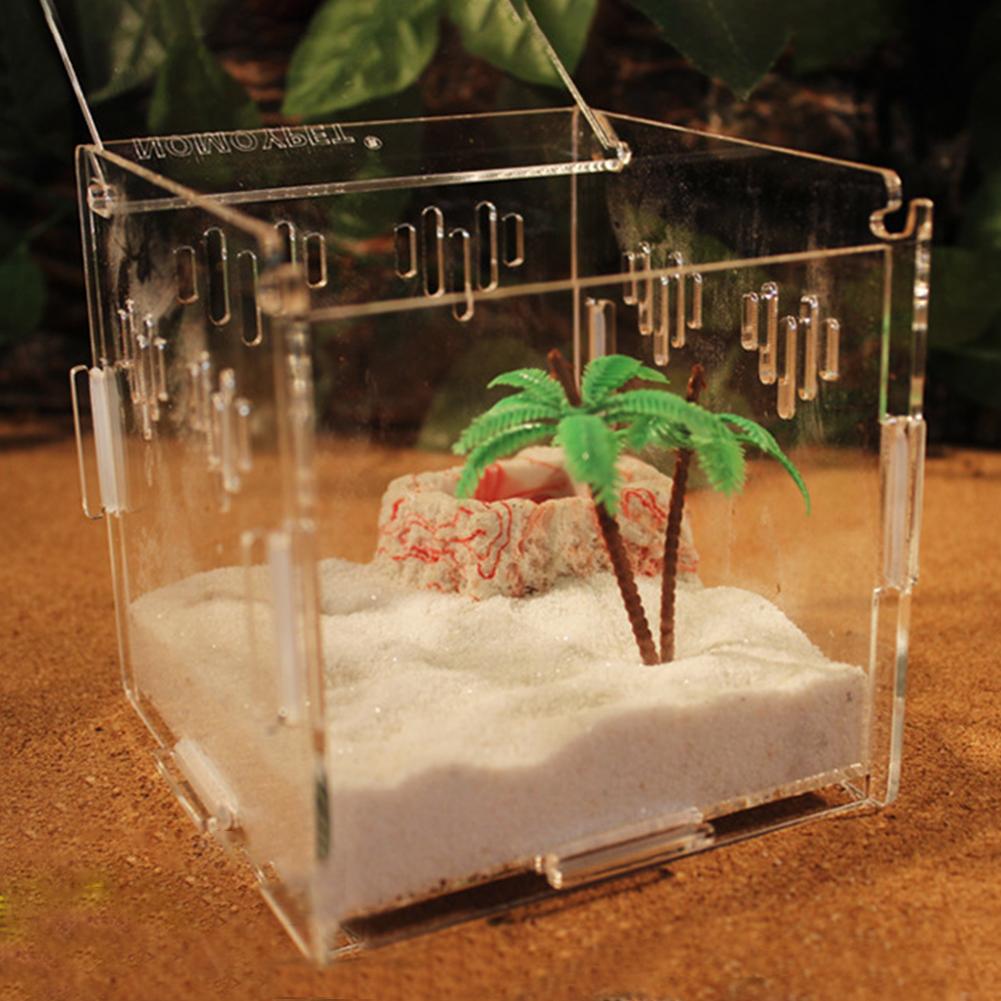 Latest Reptile Breeding Box Acrylic Transparent Sliding Cover Reptile Tank Insect Spiders Tortoise Lizard Feeding Box Terrarium