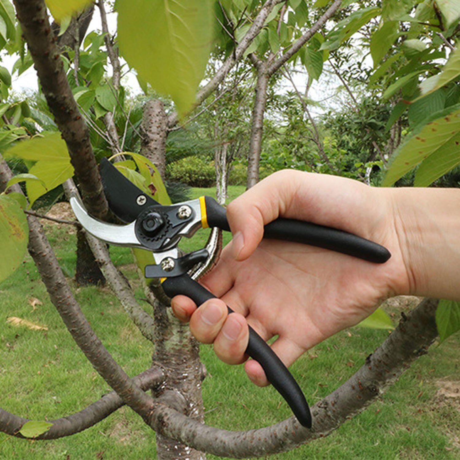 Behokic Heavy Duty Garden Hand Pruner Pruning Shears Clippers Trimmer with Safety Lock Soft Handle Accessories Tool