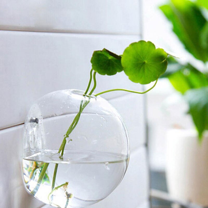Florero de cristal con forma de globo de terrario, colgante transparente, maceta, maceta para pared, recipiente acuario, decoración para el hogar