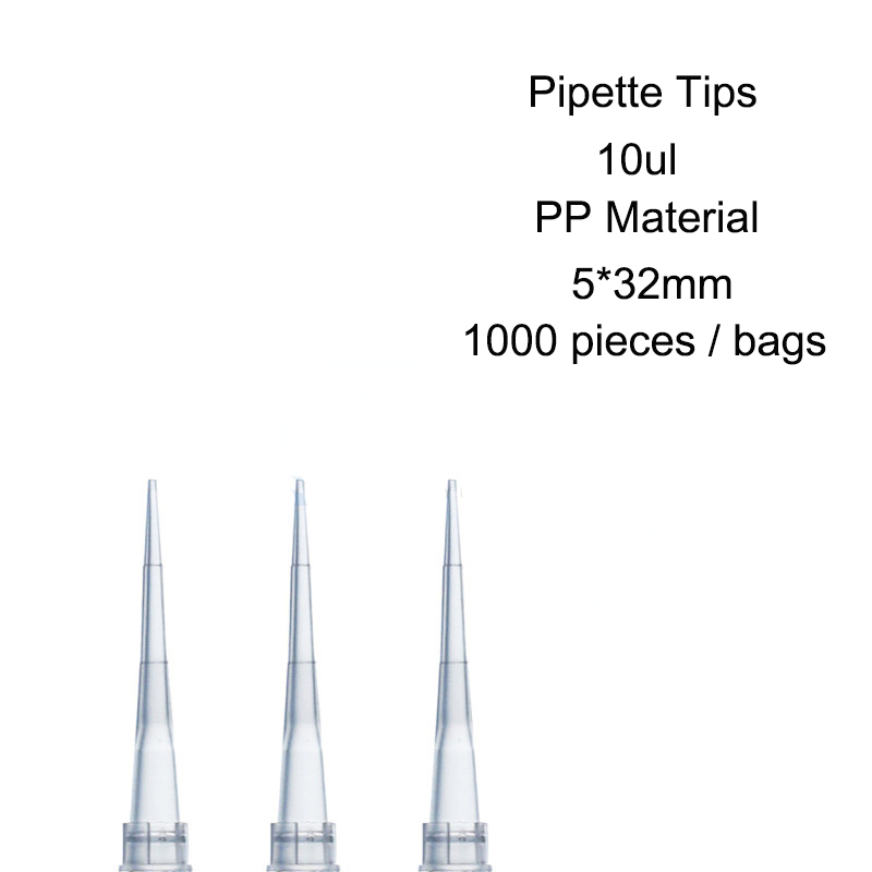 1000 Pieces Lab Disposable Pipet 10ul Pipette Tip – Grandado