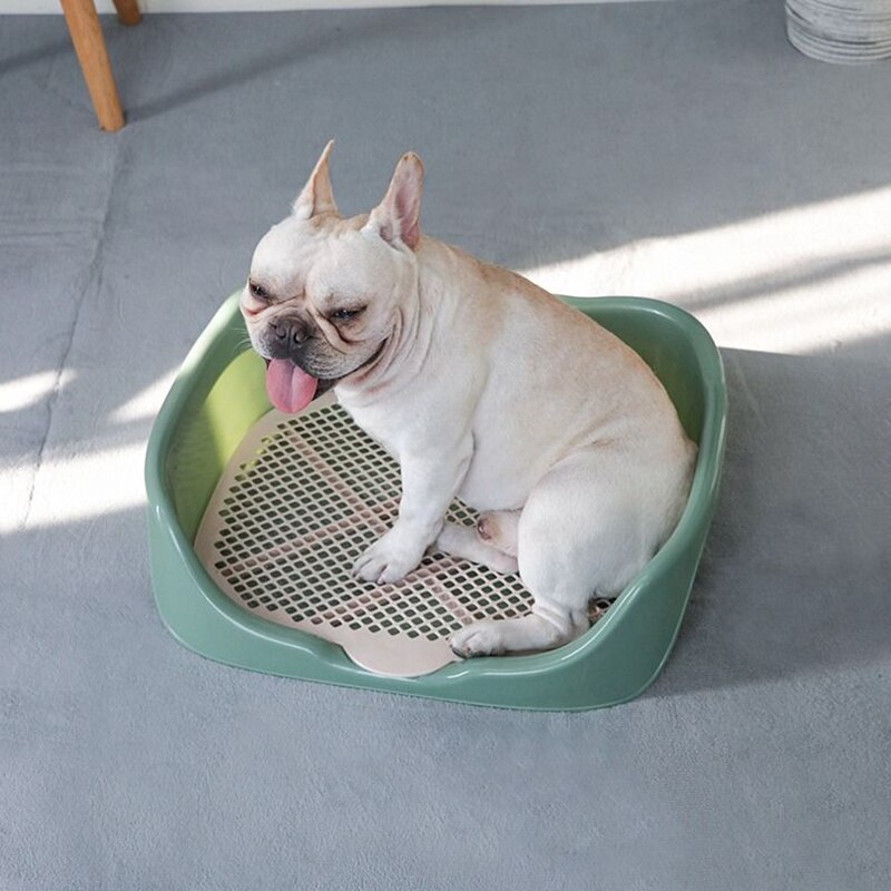 2 Size Draagbare Kat Hond Wc Plastic Training Kitten Konijn Doggy Potten Wastafel Voor Pet Puppy Indoor Poepen Benodigdheden Product