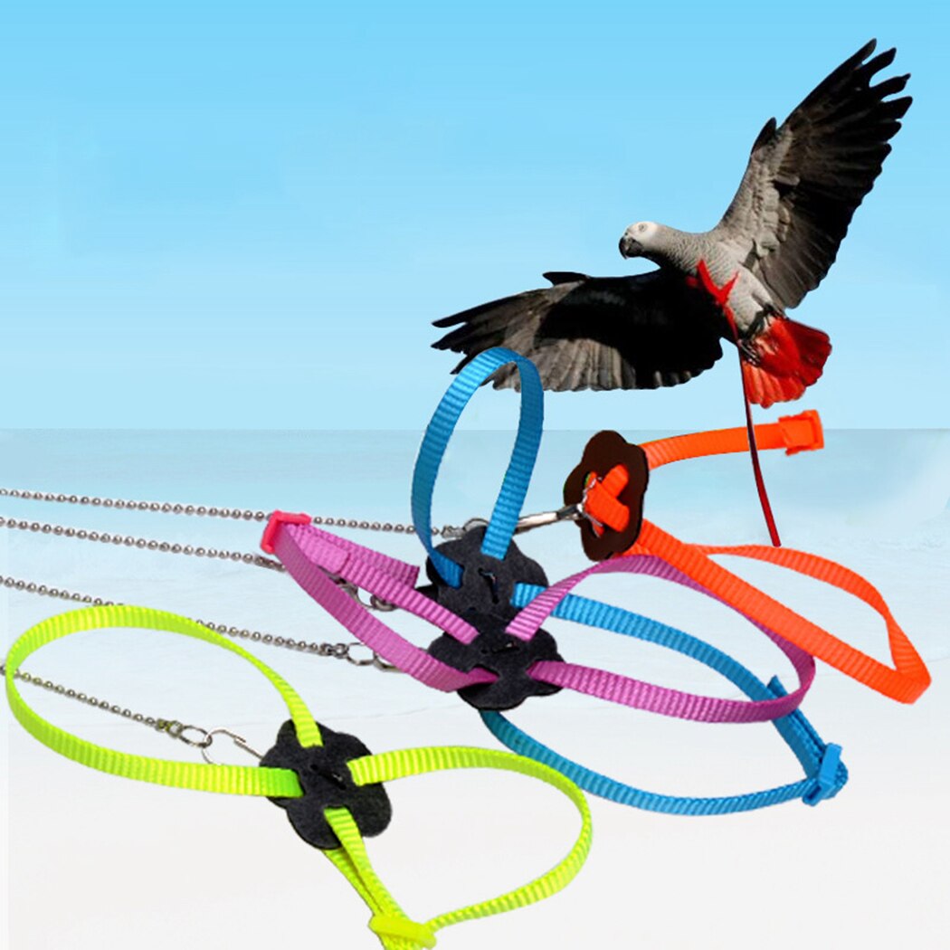 1 pièces harnais pour oiseaux laisse Nylon réglable perroquet harnais laisse fournitures pour oiseaux perroquet oiseau AntiBite en plein air harnais de vol
