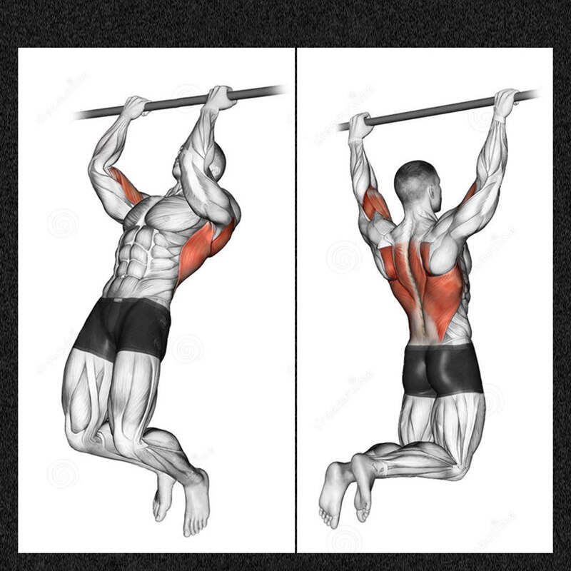 Home gym fitness pull-up vandrette stænger multifunktionel indendørs kropsbygning pull up træningsstang dørkarm vandret stang