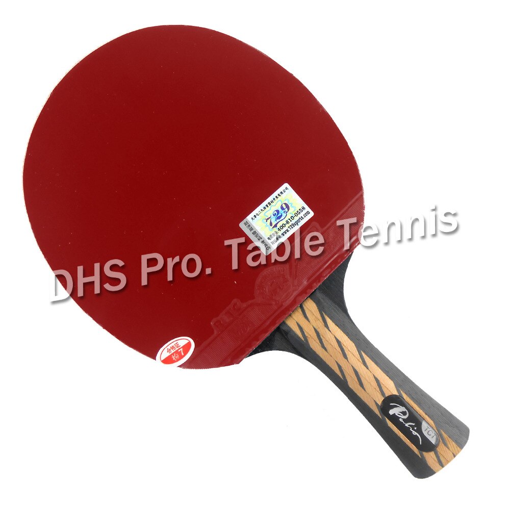Pro Table Tennis PingPong Combo Racket Palio TCT with 729 General Sponge Rubber Shakehand long handle FL